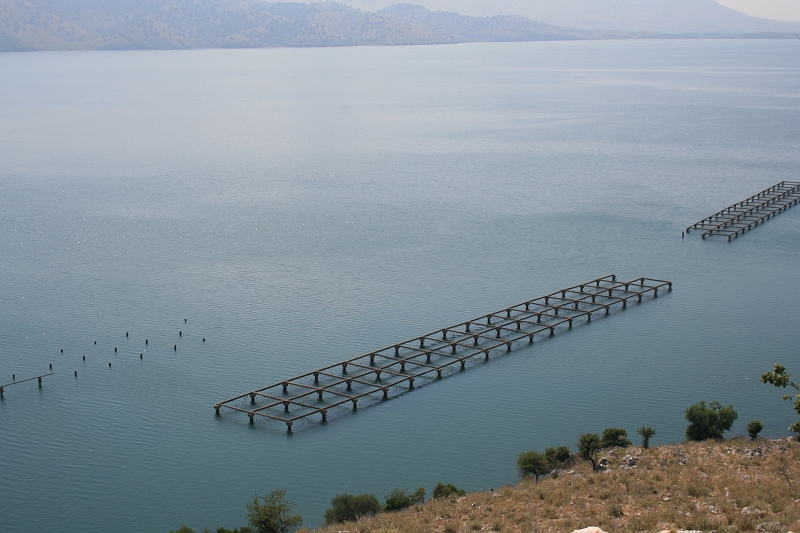 Albania_2009 168